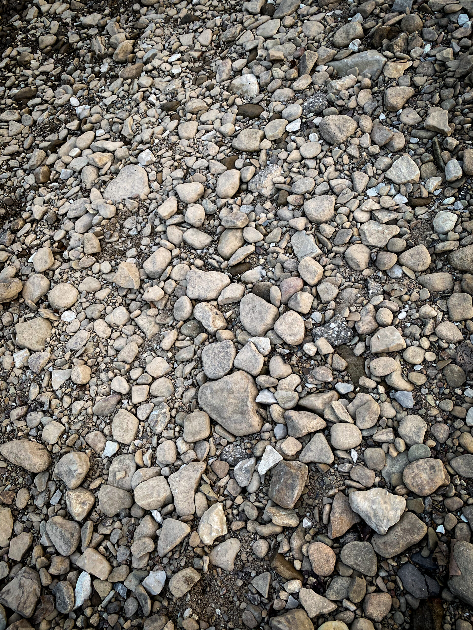Rocks at Elk River Access in Clendenin